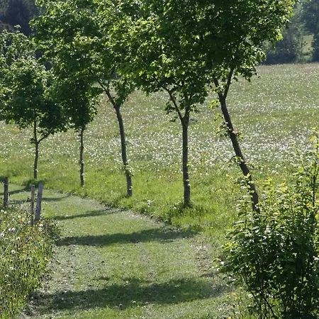 Erzgebirge Neuhausen (Saxony)