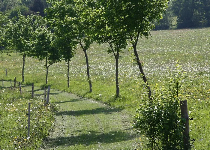 Erzgebirge Neuhausen (Saxony)